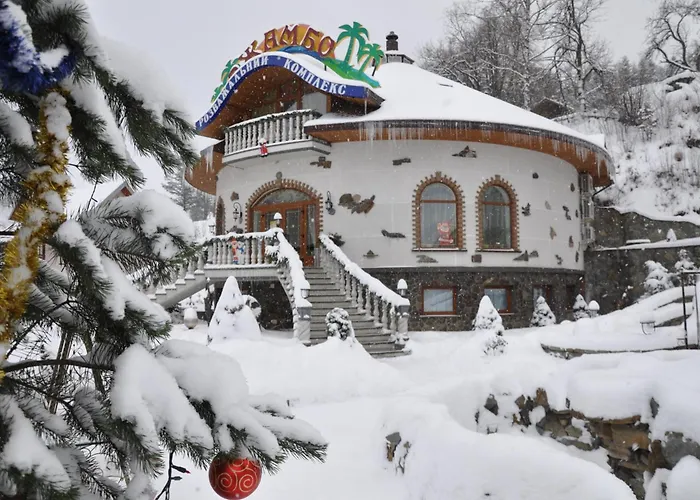 酒店 黛安娜酒店 Skhidnytsia